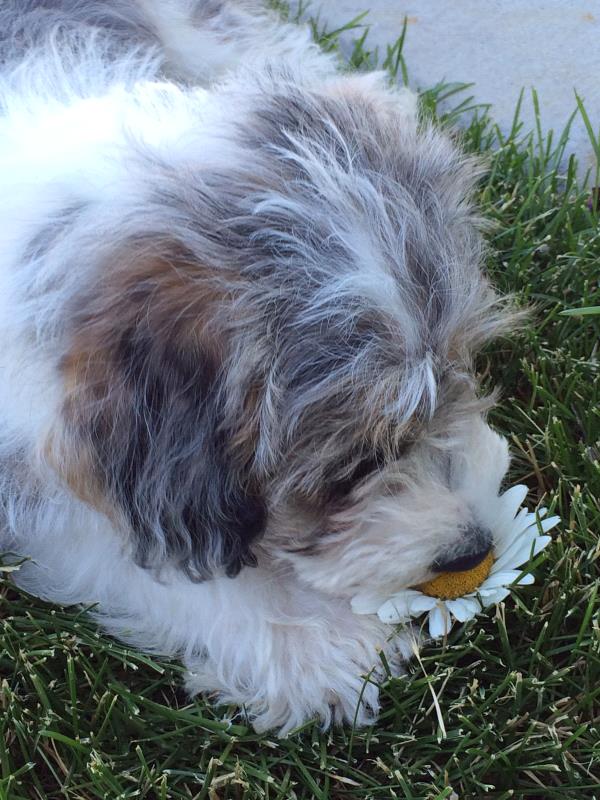 /Images/uploads/Humane Society of Utah/HSUCalendar/entries/1606thumb.jpg